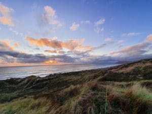 Chatham Islands