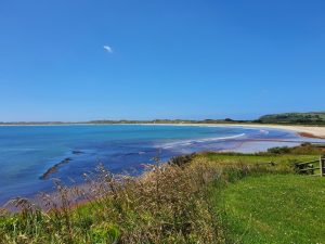 Chatham Islands